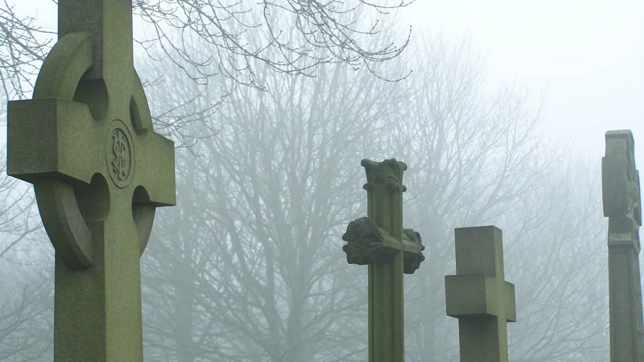 Encontrar enlaces muertos en php